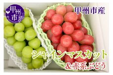 【クール配送】シャインマスカット＆赤系ぶどう 各1房（2房合計約1kg）【2025年発送】（KFT）B12-1810 【シャインマスカット 葡萄 ぶどう ブドウ 令和7年発送 期間限定 山梨県産 甲州市 フルーツ 果物】