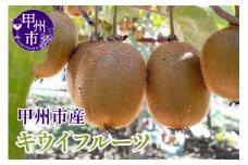 【クール配送】キウイフルーツ 約1kg【2025年発送】（KFT）A09-1810