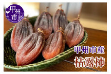 枯露柿（ころ柿）1箱 12個入【2025年発送】（KFT）B13-1811