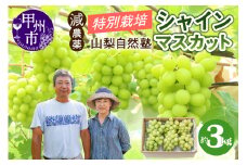 減農薬「特別栽培」やまなし自然塾の甲州市産シャインマスカット 約3kg【2025年発送】（YSGK）C5-160 【シャインマスカット 葡萄 ぶどう ブドウ 令和7年発送 期間限定 山梨県産 甲州市 フルーツ 果物】
