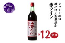 シャトー勝沼 酸化防止剤無添加赤わいん甘口12本セット（MG）H-480 【ワイン 赤ワイン 甲州市 山梨県】