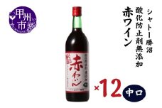 シャトー勝沼 酸化防止剤無添加赤わいん中口12本セット（MG）H-481 【ワイン 赤ワイン 甲州市 山梨県】