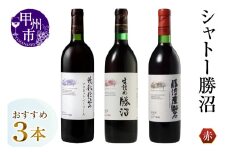 シャトー勝沼おすすめ赤ワイン3本セット（MG）C1-483 【ワイン シャトー勝沼 赤ワイン 甲州市 山梨県】