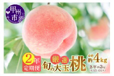【定期便】甲州市産厳選旬の大玉桃約2kg 2年定期便【2025年・2026年発送】（MG）C-485【桃 もも モモ 令和7年発送 令和8年発送 期間限定 山梨県産 甲州市 フルーツ 果物】