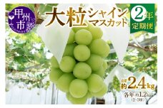 【定期便】甲州市産厳選大粒シャインマスカット約1.2kg 2年定期便【2025年・2026年発送】（MG）C2-495 【シャインマスカット 葡萄 ぶどう ブドウ 令和7年発送 令和8年発送 期間限定 山梨県産 甲州市 フルーツ 果物】