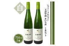 シャトーメルシャン 玉諸甲州きいろ香【白】2本セット（TDC）B18-740 【ワイン 白ワイン 甲州市 山梨県】