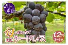 【クール配送】濃厚な甘さ！！旬の採れたて種なしBKシードレス 1.2kg以上（2～3房）【2025年発送】（HO）B-1410 【BKシードレス ぶどう 葡萄 ブドウ 令和7年発送 期間限定 山梨県産 甲州市 フルーツ 果物】