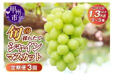 【定期便】子供に大人気！！旬の採れたて大粒シャインマスカット 1.3kg以上 3回定期便【2025年発送】（HO）D-410 【シャインマスカット 葡萄 ぶどう ブドウ 令和7年発送 期間限定 山梨県産 甲州市 フルーツ 果物】