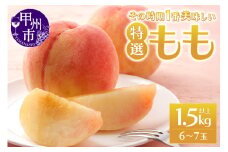 時期一番の特選桃 1.5kg以上（6～7玉）【2025年発送】（MRN）A08-147 【桃 もも モモ 令和7年発送 期間限定 山梨県産 甲州市 フルーツ 果物】