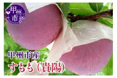 【クール配送】すもも（貴陽）7～9玉（合計約1.5kg）【2025年発送】（KFT）C-1810 【貴陽 すもも スモモ 令和7年発送 期間限定 山梨県産 甲州市 フルーツ 果物】