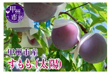 【クール配送】すもも（太陽）7～9玉（合計約1.5kg）【2025年発送】（KFT）C-1811 【太陽 すもも スモモ 令和7年発送 期間限定 山梨県産 甲州市 フルーツ 果物】