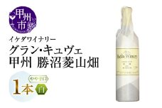イケダワイナリー グラン・キュヴェ 甲州（MG）B11-480 【ワイン イケダワイナリー 白ワイン 甲州市 山梨県】
