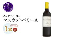 イケダワイナリー マスカットベリーA（MG）A06-482 【ワイン イケダワイナリー 赤ワイン 甲州市 山梨県】