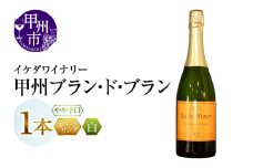 イケダワイナリー 甲州 ブラン・ド・ブラン（MG）A09-481 【ワイン イケダワイナリー スパークリングワイン 白ワイン 甲州市 山梨県】