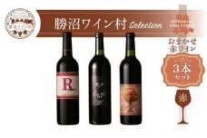 ワイン村 おまかせワイン（赤）3本セット（KWV）D4-620 【ワイン 赤ワイン 甲州市 山梨県】