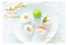 クリスマス 和菓子【聖夜の上生菓子】10個入り 練り切り 菓子 スイーツ 生菓子 ギフト あんこ お歳暮 お取り寄せ 高級 上生菓子 和スイーツ かわいい サンタ トナカイ 雪だるま（VYD）B-940