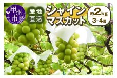 甲州市産 産地直送 シャインマスカット 約2.0kg（3～4房）【2025年発送】（SSI）B18-1830【シャインマスカット 葡萄 ぶどう ブドウ 令和7年発送 期間限定 山梨県産 甲州市 フルーツ 果物】