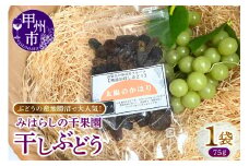 ぶどうの産地勝沼で大人気！みはらしの千果園の干しぶどう1袋（MG）A02-360