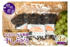 ぶどうの産地勝沼で大人気！みはらしの千果園の干しぶどう3袋（MG）A07-360
