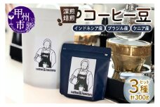 【ramp】深煎焙煎 コーヒー豆 3種類 各100g 計300g（MG）B15-1561