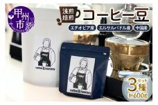 【ramp】浅煎焙煎 コーヒー豆 3種類 各200g 計600g（MG）D-1561
