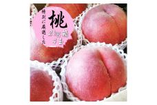 ふるさと納税のために特別に選別した 桃 約2kg 4玉【2025年発送】（WDN）B14-900 【桃 もも モモ 令和7年発送 期間限定 山梨県産 甲州市 フルーツ 果物】