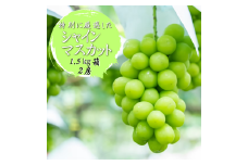ふるさと納税のために特別に選別した シャインマスカット 約1.5kg 2房【2025年発送】（WDN）B17-900 【シャインマスカット 葡萄 ぶどう ブドウ 令和7年発送 期間限定 山梨県産 甲州市 フルーツ 果物】