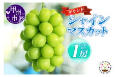 【少数厳選】KOSHUグランドシャインマスカット 650g以上（1房）【2025年発送】（SFM）B-965 【シャインマスカット 葡萄 ぶどう ブドウ 令和7年発送 期間限定 山梨県産 甲州市 フルーツ 果物】