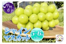 【新鮮朝採】KOSHUシャインマスカット 約3kg（5～6房）【2025年発送】（SFM）D-965 【シャインマスカット 葡萄 ぶどう ブドウ 令和7年発送 期間限定 山梨県産 甲州市 フルーツ 果物】