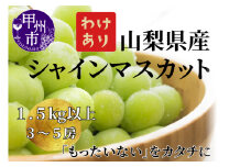 【訳あり】山梨県産旬のシャインマスカット 1.5kg以上（3～5房）【2025年発送】（LKS）B12-850 【シャインマスカット 葡萄 ぶどう ブドウ 令和7年発送 期間限定 山梨県産 甲州市 フルーツ 果物】