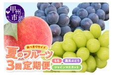 【定期便】【食べきりサイズ】季節限定 夏のフルーツ3回定期便（KSB）C2-101【桃 黒系ぶどう シャインマスカット もも モモ 葡萄 ぶどう ブドウ 期間限定 山梨県産 甲州市 フルーツ 果物】