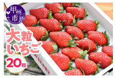大粒いちご（20粒）【2025年発送】（KSB）B14-101