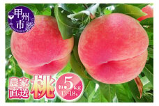 農家直送 桃 約5kg 13～18玉【2025年発送】（YKI）C5-990【桃 もも モモ 令和7年発送 期間限定 山梨県産 甲州市 フルーツ 果物】