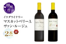 イケダワイナリー 2本セット【マスカットベリーA / ヴァン・ルージュ】（MG）B12-676 【ワイン 赤ワイン ミディアムボディ 甲州市 山梨県】