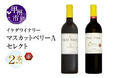 イケダワイナリー 2本セット【マスカットベリーA / セレクト赤】（MG）B15-748
