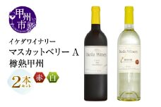 イケダワイナリー 2本セット【マスカットベリーA / 樽熟甲州】（MG）B12-669