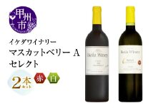 イケダワイナリー 2本セット【マスカットベリーA / セレクト白】（MG）B14-662