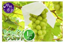 シャインマスカット 1.0kg以上 2房【2025年発送】（YKI）B-991【シャインマスカット ぶどう ブドウ 葡萄 令和7年発送 期間限定 山梨県産 甲州市 フルーツ 果物】