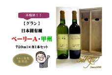 本格派【グラン】日本固有種 ベーリーA・甲州 各1本セット（MRN）B13-310 【ワイン 蒼龍葡萄酒 赤ワイン 白ワイン 甲州市 山梨県】
