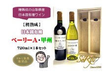 樽熟成の山梨県産日本固有種ワイン【樽熟成】日本固有種 ベーリーA・甲州 各1本セット（MRN）B15-310 【ワイン 蒼龍葡萄酒 赤ワイン 白ワイン 甲州市 山梨県】