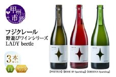 フジクレール 野遊びワイン LADY beetle【WHITE.N】【ROSE SP Sparkling】【GREEN.N Sparkling】3本セット（MG）D6-651