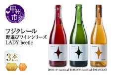 フジクレール 野遊びワイン LADY beetle【ROSE SP Sparkling】【GREEN.N Sparkling】【ORANGE.N】3本セット（MG）D7-662【ワイン フジクレール ロゼワイン スパークリングワイン オレンジワイン 甲州市 山梨県】