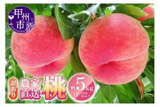 農家直送 訳あり 桃 約5kg 11～22玉【2025年発送】（YKI）B11-990 【桃 もも モモ 令和7年発送 期間限定 山梨県産 甲州市 フルーツ 果物】
