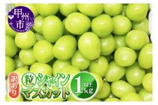 訳あり 粒シャインマスカット 1.0kg以上【2025年発送】（YKI）A07-991 【シャインマスカット ぶどう ブドウ 葡萄 令和7年発送 期間限定 山梨県産 甲州市 フルーツ 果物】