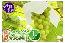 訳あり シャインマスカット 1.0kg以上 2房【2025年発送】（YKI）A06-990 【シャインマスカット ぶどう ブドウ 葡萄 令和7年発送 期間限定 山梨県産 甲州市 フルーツ 果物】