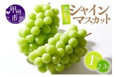 シャインマスカット（訳あり）1kg以上 2～3房【2025年発送】（ATP）A09-820 【シャインマスカット 葡萄 ぶどう ブドウ 令和7年発送 期間限定 山梨県産 甲州市 フルーツ 果物】