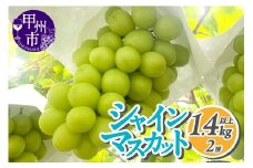 富岳園のシャインマスカット2房（1.4kg以上）入り箱（FGF）B14-890 【シャインマスカット 葡萄 ぶどう ブドウ 2025年発送 令和7年発送 期間限定 山梨県産 甲州市 フルーツ 果物】