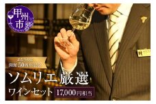 勝沼ぶどうの丘ソムリエ厳選ワインセット（17,000円相当）（KBO）H-653【ワイン 勝沼ぶどうの丘 甲州ワイン 山梨県 甲州市】