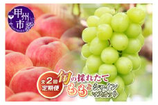 【定期便】旬の採れたて2回定期便（桃・シャインマスカット）【2025年発送】（HO）B18-1410 