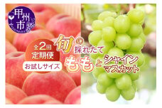 【定期便】【お試しサイズ】旬の採れたて2回定期便（桃・シャインマスカット）【2026年発送】（HO）B14-1410